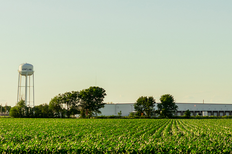 Landscape shot and warehouse next to water tower